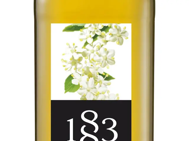 1883 Syrups — available at coffeetraining.shop, Rawalpindi