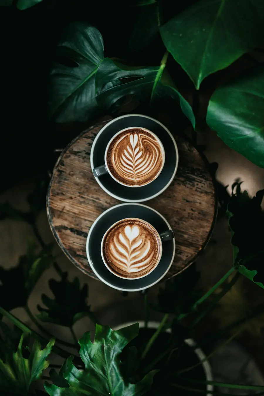 Commercial Italian espresso machine used for hands-on training